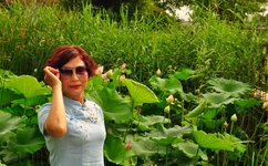 18禁无遮挡爽爽爽无码视频